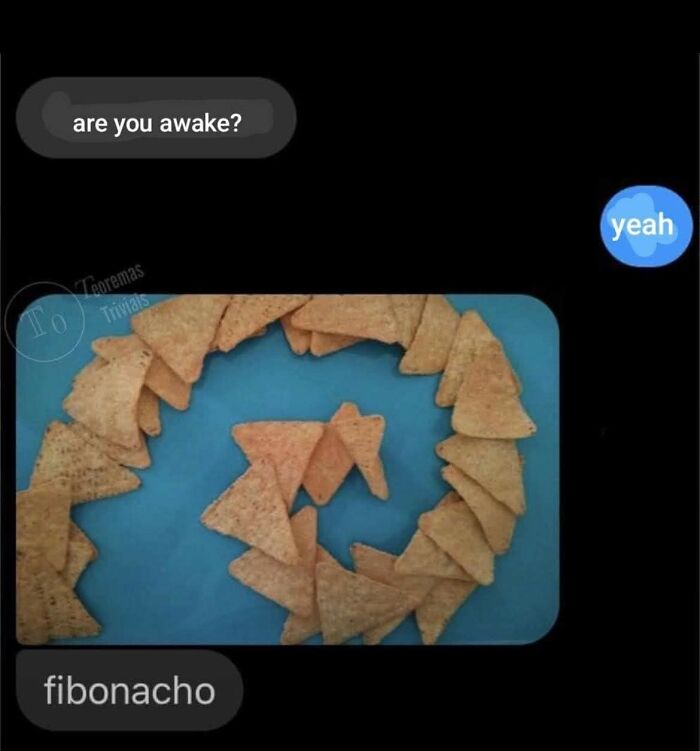 Text message meme with tortilla chips arranged in a spiral pun combining Fibonacci and nachos, a hilarious educational meme.