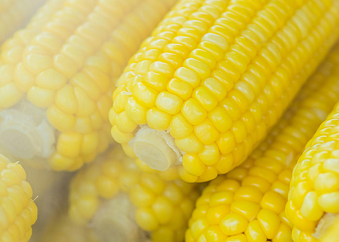 Close-up of fresh corn on the cob demonstrating life hacks that people are sharing and can't believe others don't use.