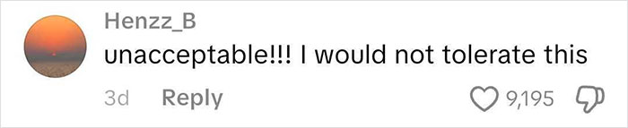Comment on social media expressing strong disapproval with 9,195 likes, relating to a frequent traveler&rsquo;s worst flight experience.
