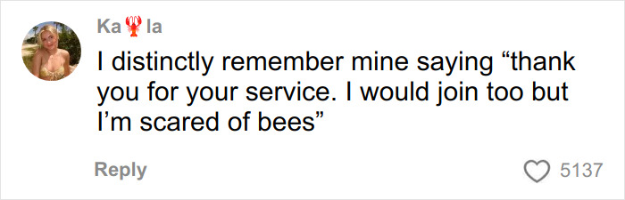 Comment from a user sharing a funny and savage letter kids send to U.S. soldiers thanking them but scared of bees.