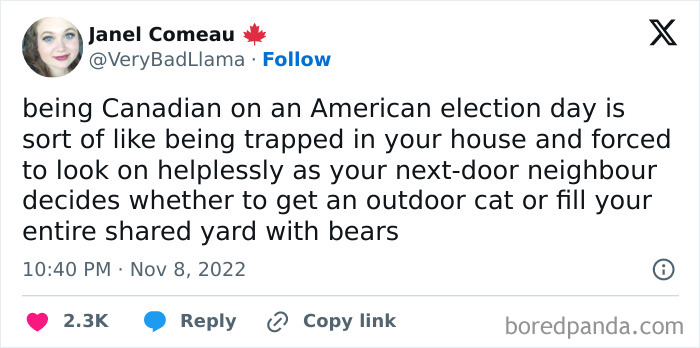 Tweet from a Canadian humorously comparing watching an American election to a neighbor deciding to get an outdoor cat or bears in the yard.