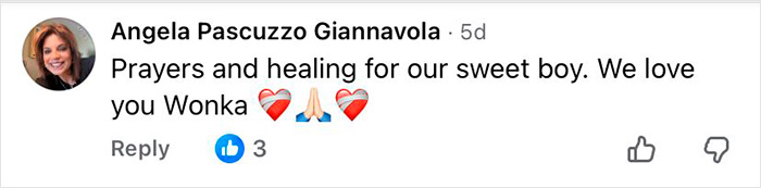 Comment from Angela Pascuzzo Giannavola expressing prayers and healing for a 16-year-old dog left at shelter with microchip info.