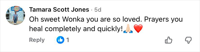 Comment by Tamara Scott Jones expressing love and prayers for healing after microchip info revealed on 16-year-old shelter dog.