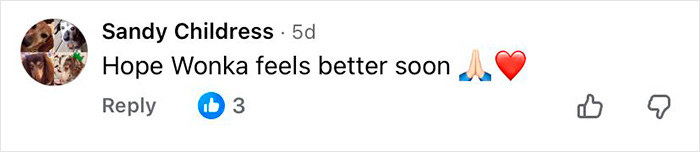 Comment on social media post expressing hope that a 16-year-old dog left at shelter with microchip info feels better soon.