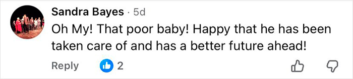 Comment by Sandra Bayes expressing relief about a 16-year-old dog left at shelter with microchip info discovered.