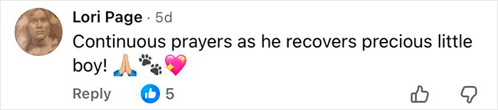 Comment expressing continuous prayers for a recovering precious little boy with prayer hands, paw prints, and heart emojis.