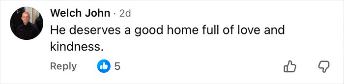 Commenter Welch John expressing that a 16-year-old dog left at shelter deserves a loving, kind home.