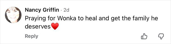 Comment expressing hope for a 16-year-old dog left at shelter to heal and find a loving family.