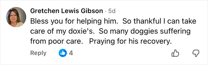 Comment from Gretchen Lewis Gibson expressing gratitude for help with a 16-year-old dog left at shelter and praying for recovery.