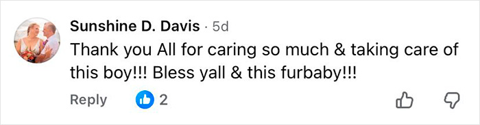 Comment expressing gratitude for caring and taking care of a 16-year-old dog with microchip info left at shelter.