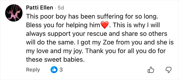 Comment expressing gratitude for help with a 16-year-old dog left at shelter with microchip information.