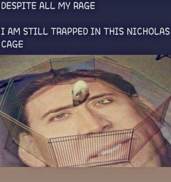 Funny meme showing a hamster trapped in a cage with Nicholas Cage's face, highlighting randomly funny memes.