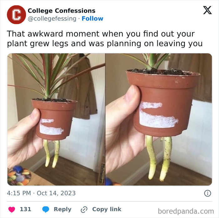 Hand holding a plant pot with roots growing like legs, illustrating relatable student and young adult life humor.