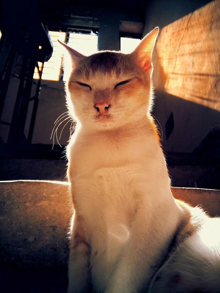 My 15 Captivating Pictures Of Independent Photography