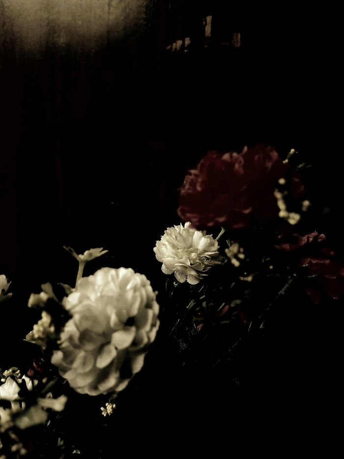 I Took 20 Captivating Shots Of Flowers