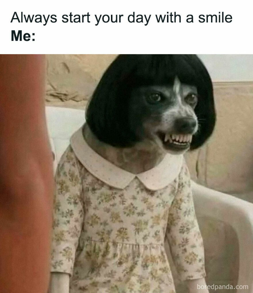 Dog wearing a floral dress and black wig showing teeth humorously, one of the funny animal memes to brighten your day.