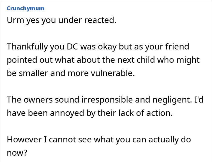 Comment discussing negligent dog owners whose dog bit a child, emphasizing irresponsibility and concern for vulnerable kids. Comment discussing negligent dog owners whose dog bit a child, emphasizing irresponsibility and concern for vulnerable kids.