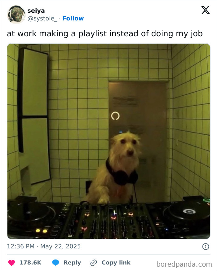 Dog wearing headphones playing music on DJ equipment, humorously depicting having a job and workplace distractions.