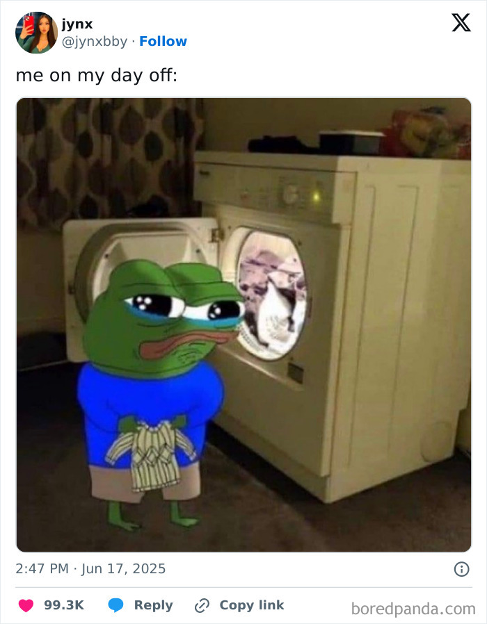 Sad cartoon frog holding laundry in front of a washing machine, illustrating relatable job life moments.