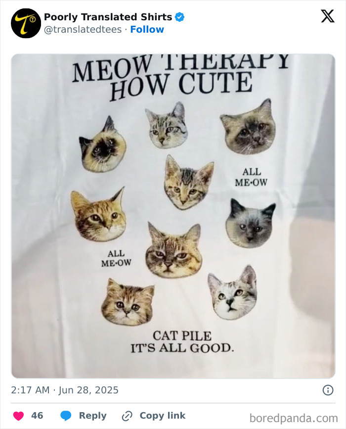 White T-shirt with funny cat faces and text humorously mistranslated, showcasing ridiculous English T-shirts found worldwide.