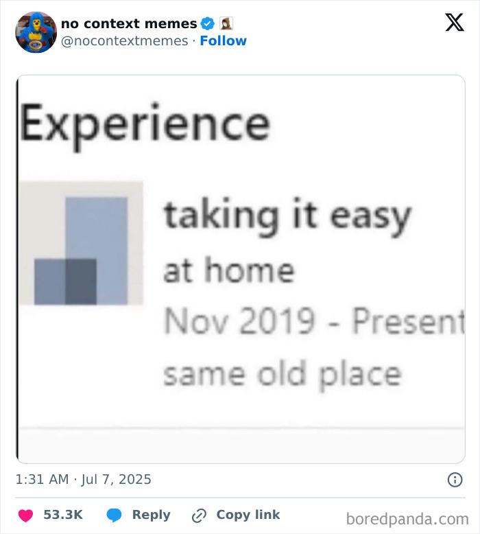 Tweet humorously describing work experience as taking it easy at home since 2019, reflecting job life realities.