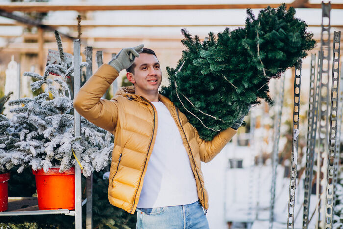 Young man holding a Christmas tree at a market, representing insider experiences of nepo babies in unique settings.