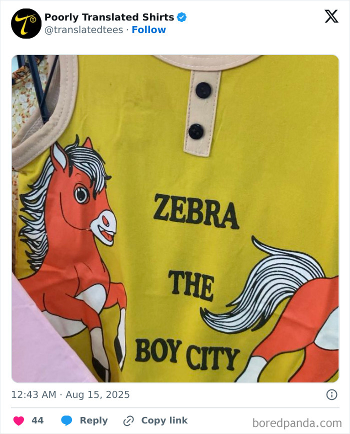 Funny English t-shirt with a cartoon horse and the poorly translated phrase Zebra The Boy City on yellow fabric.