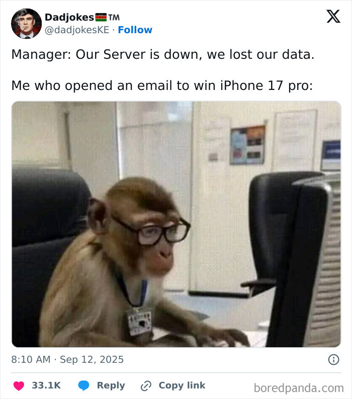 A monkey wearing glasses sitting at a desk, looking at a computer, depicting humor about having a job.