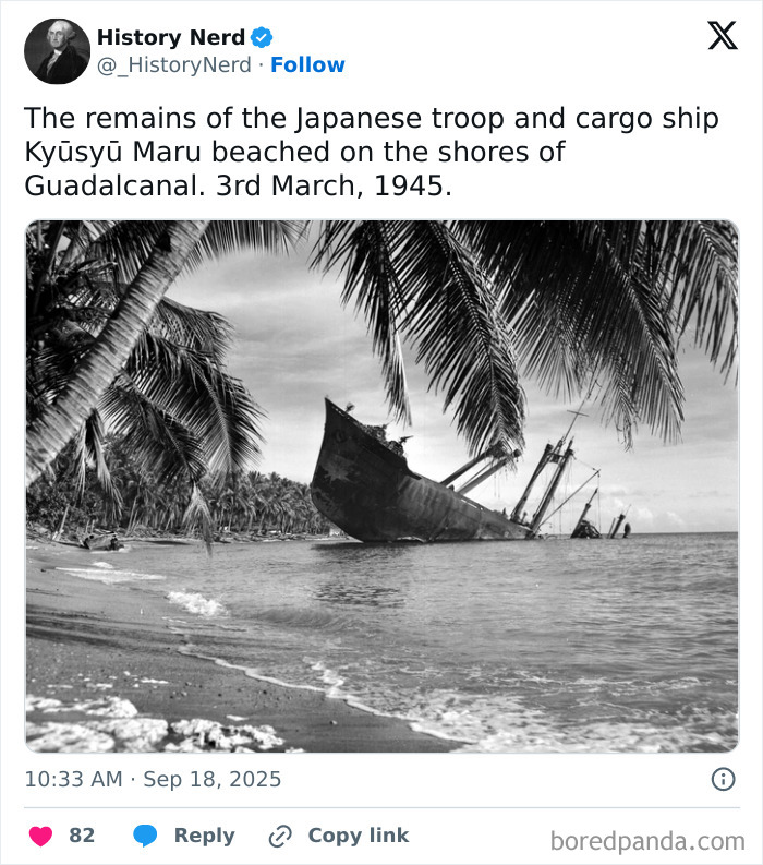 The remains of a Japanese cargo ship beached on Guadalcanal shore framed by palm trees in a rare history photo.