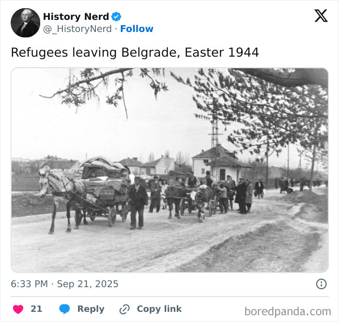 Refugees leaving Belgrade in 1944, captured in a rare and powerful history photo showing human migration during war.