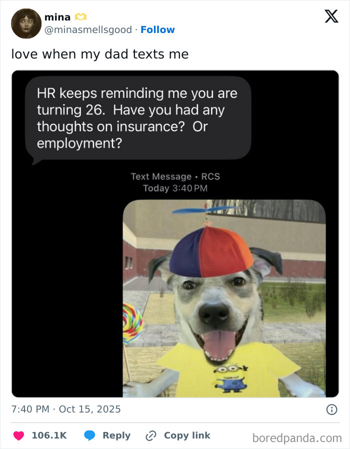 Tweet showing a humorous text about HR job reminders paired with a dog wearing a colorful propeller hat and minion shirt.