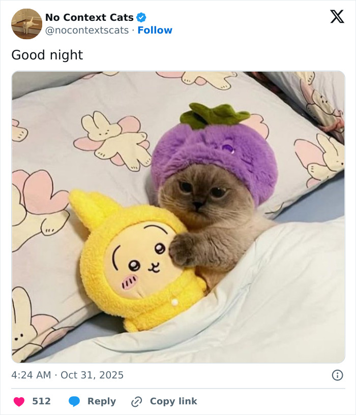 Cat wearing a purple fruit hat cuddling a yellow plush toy, resting in bed on floral patterned sheets, no context cats.