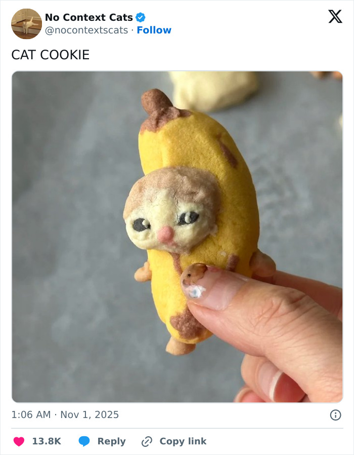 Hand holding a cat-shaped cookie with detailed face and yellow body, featured in no context cats images.