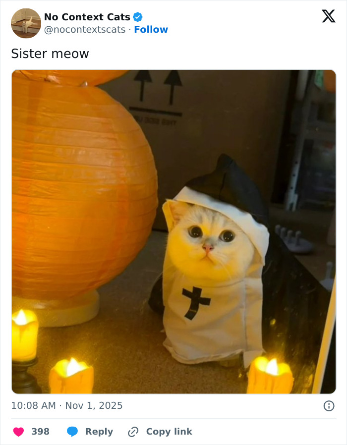 Cat dressed in a nun costume with a cross, surrounded by candles and an orange lantern, perfect for No Context Cats content.