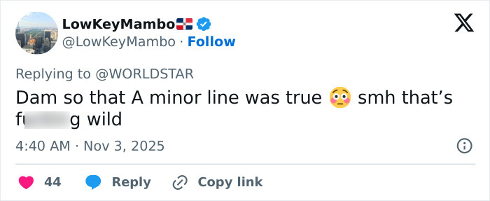 Screenshot of a social media reply discussing unexpected details revealed at Drake&rsquo;s party that ended everything.