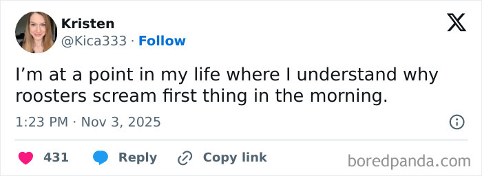 A relatable X post humorously explaining why roosters scream first thing in the morning to brighten your day.