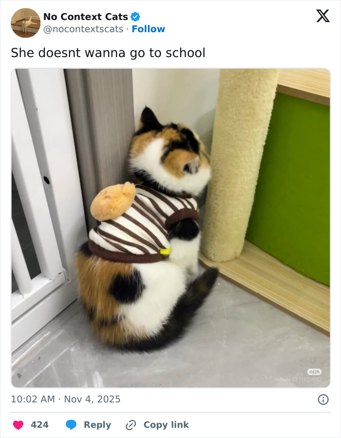 Calico cat wearing a striped shirt sits facing the wall near a scratching post in a no context cats image.