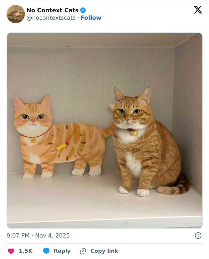 Orange tabby cat sitting next to a cartoon-style wooden cat figure, both with similar striped patterns and collars.