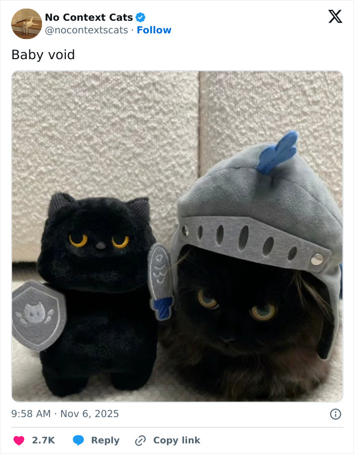 Black cat wearing a knight helmet next to a black plush cat holding a shield and fish toy in no context cats style.