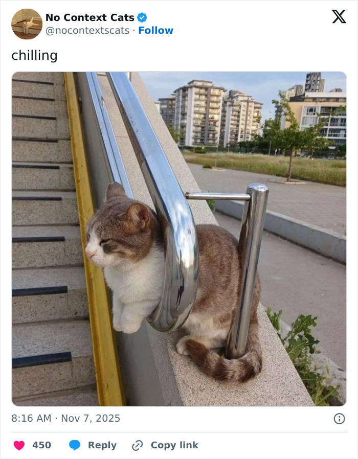 Cat resting comfortably trapped between metal railing outdoors in urban setting, showcasing no context cats humor and charm.