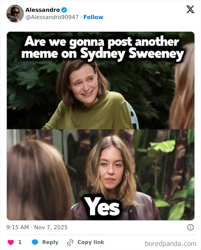 Meme featuring Sydney Sweeney from her controversial interview, sparking hilarious reactions and viral internet trends.