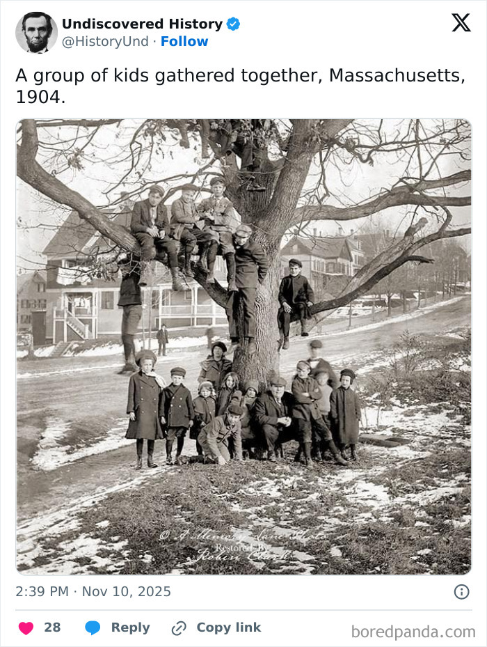 A group of children gathered around and climbing a large tree in Massachusetts, capturing moments lost to time.