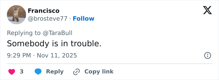 A tweet from Francisco replying to TaraBull saying somebody is in trouble, referencing a bridge collapse in China. A tweet from Francisco replying to TaraBull saying somebody is in trouble, referencing a bridge collapse in China.