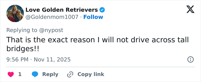 User reaction to video of China's ambitious bridge collapsing into dust just months after opening. User reaction to video of China's ambitious bridge collapsing into dust just months after opening.