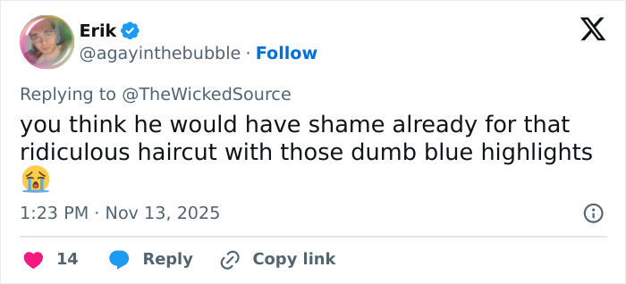 Screenshot of a tweet replying to backlash faced by fan who attacked Ariana Grande at premiere, referencing hairstyle criticism.