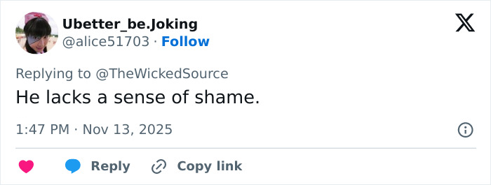 Screenshot of a social media reply criticizing the fan who attacked Ariana Grande at premiere amid backlash.