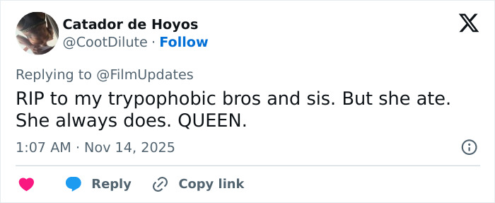 Tweet by Catador de Hoyos reacting to Michelle Yeoh&rsquo;s premiere outfit resembling a wasp nest, sparking online meltdown.