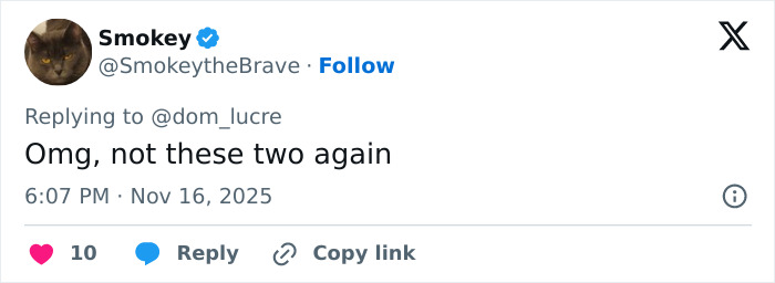 Tweet by Smokey expressing frustration, with a cat profile picture, responding to another user on social media.