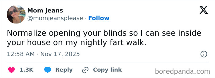 Screenshot of a hilarious and relatable X post humorously about opening blinds during a nightly walk to see inside houses.