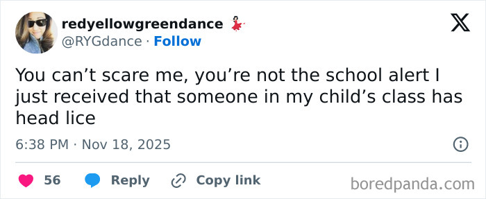 Screenshot of a funny tweet from a parent about head lice shared during quiet time parenting moments.